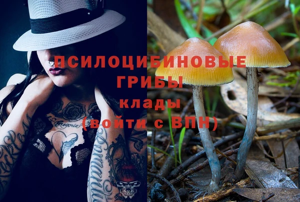 ешки Покровск